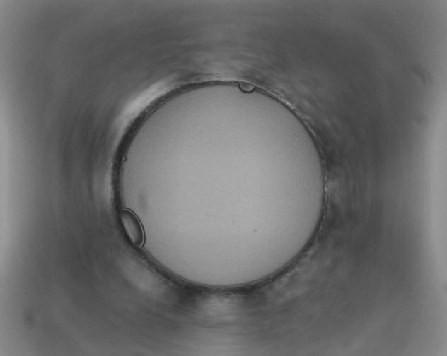 X0000113880248200910221402