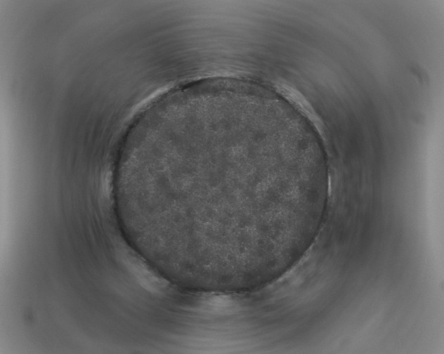 X0000113880249200910221402