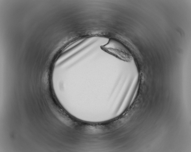 X0000113880250200910221402