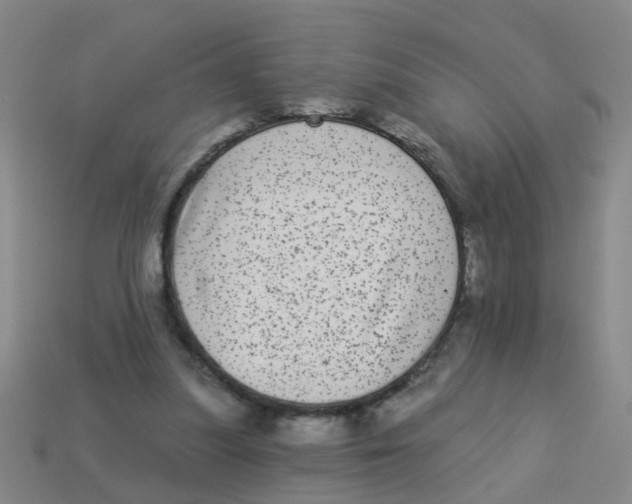 X0000113880251200910221402