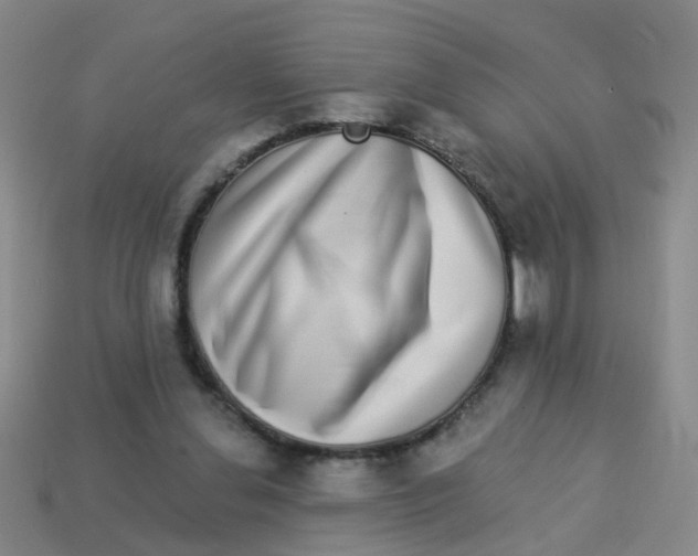 X0000113880252200910221402