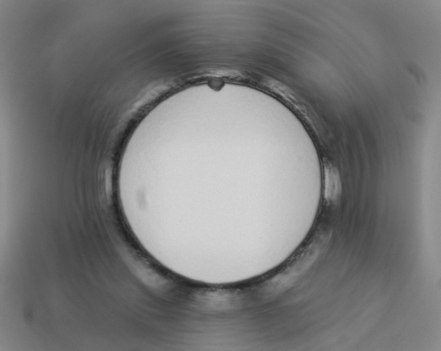 X0000113880253200910221402
