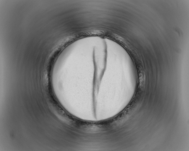 X0000113880254200910221402