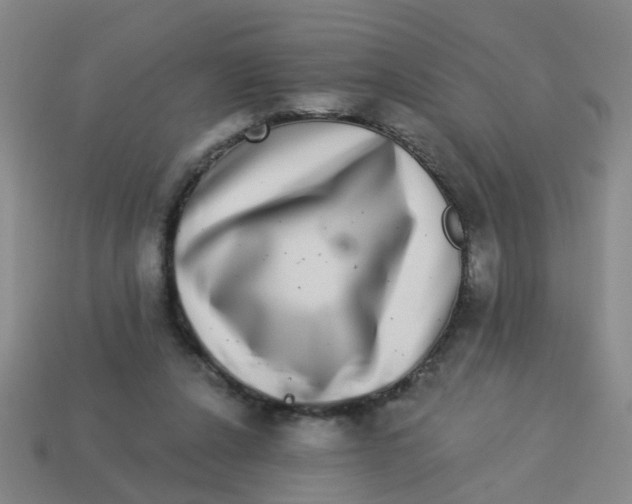 X0000113880256200910221402