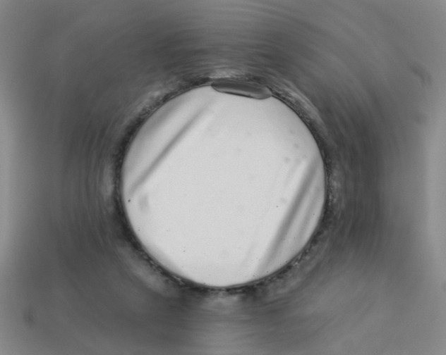 X0000113880257200910221402