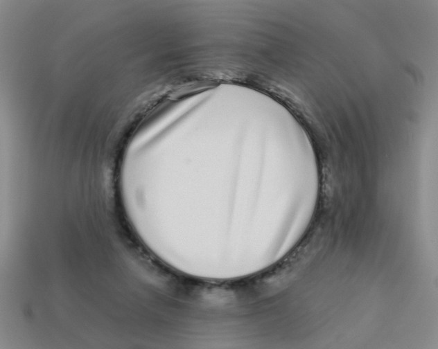 X0000113880258200910221402