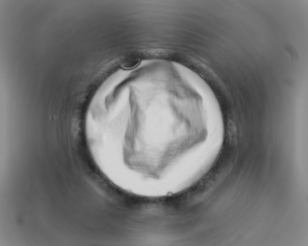 X0000113880259200910221402
