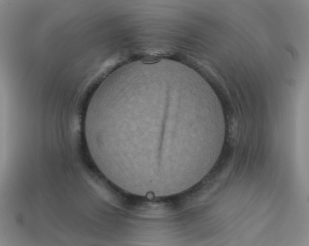 X0000113880260200910221402