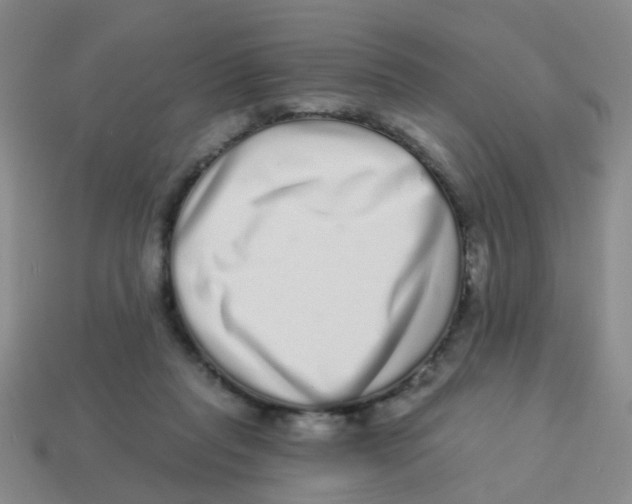 X0000113880261200910221402