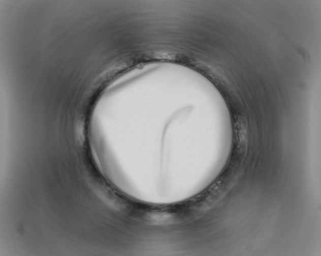 X0000113880262200910221402