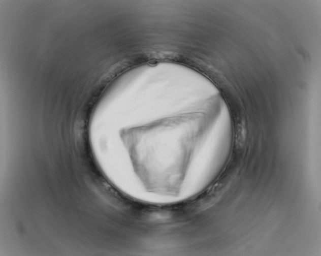 X0000113880263200910221402