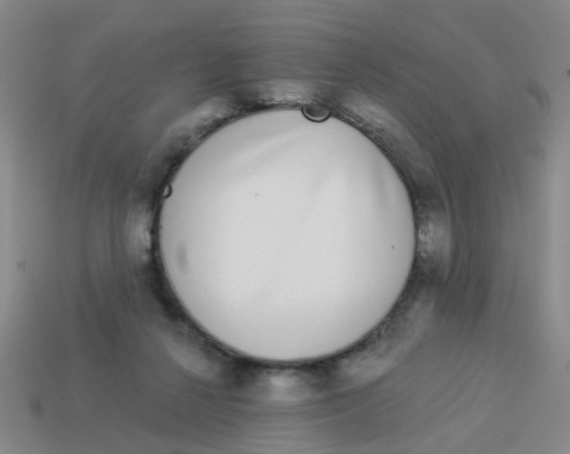 X0000113880264200910221402