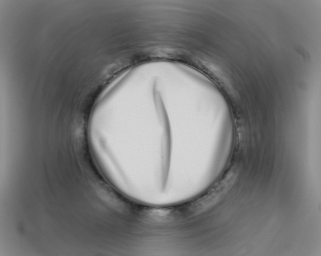 X0000113880265200910221402