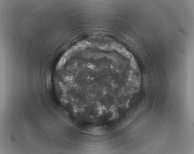 X0000113880267200910221402