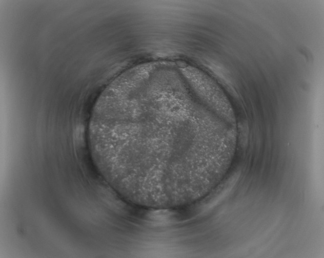 X0000113880269200910221402