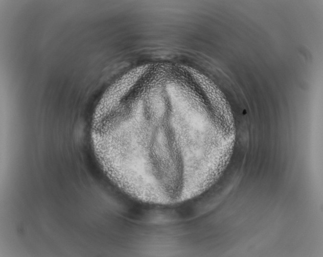 X0000113880270200910221402