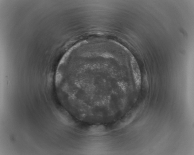 X0000113880271200910221402