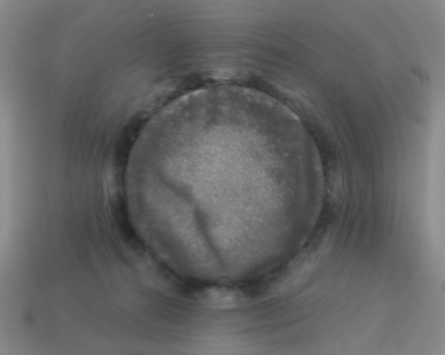 X0000113880272200910221402