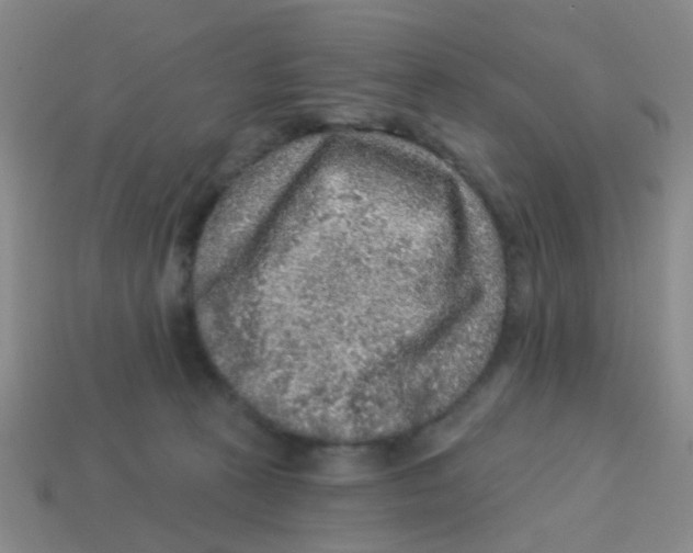 X0000113880273200910221402
