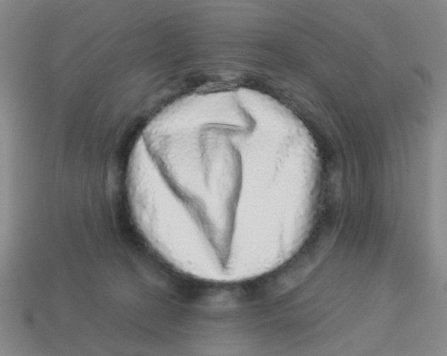 X0000113880274200910221402