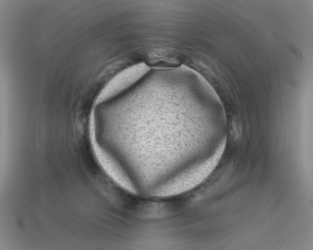 X0000113880276200910221402