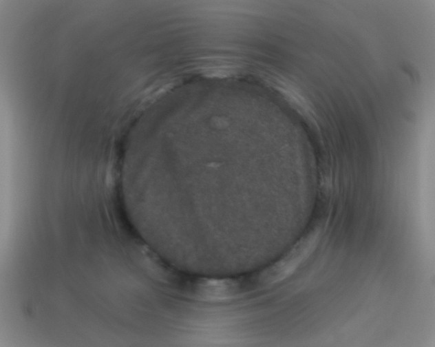 X0000113880277200910221402