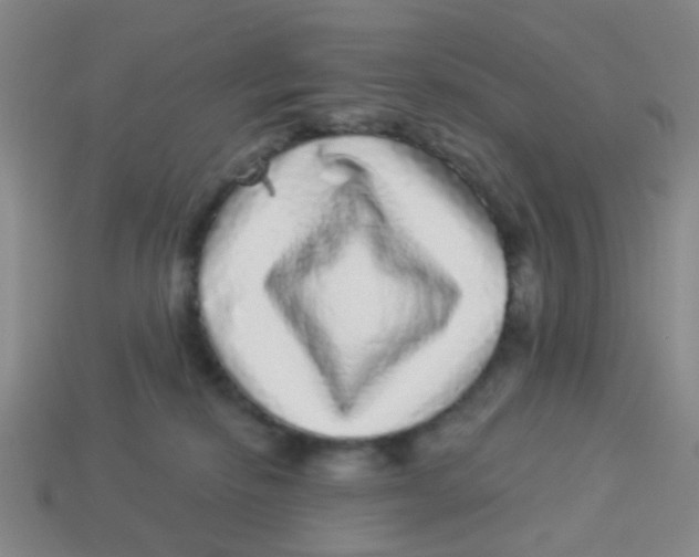 X0000113880278200910221402