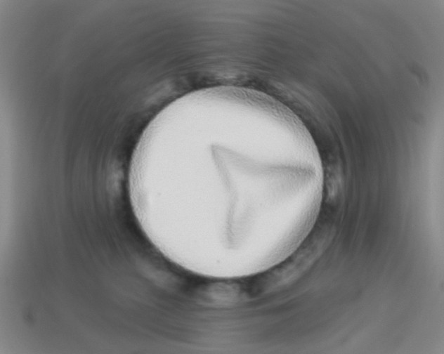 X0000113880279200910221402