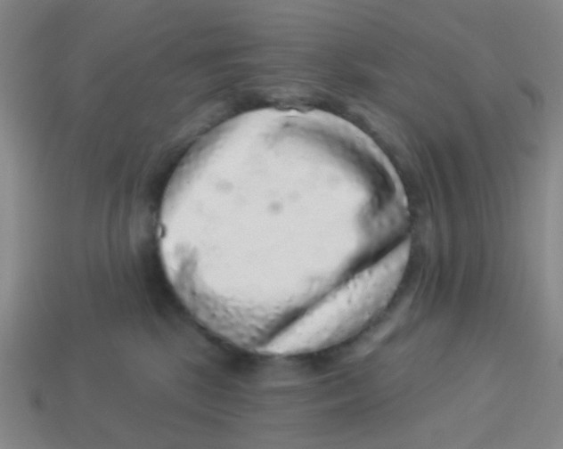 X0000113880281200910221402