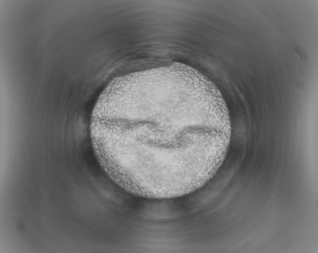 X0000113880282200910221402