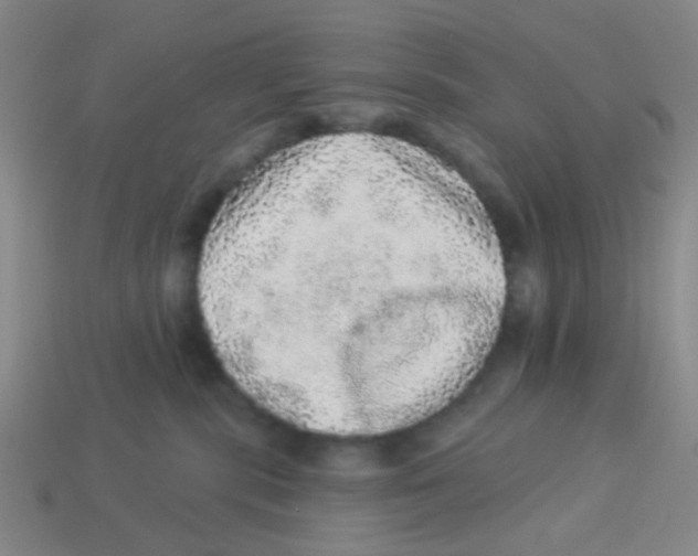 X0000113880283200910221402