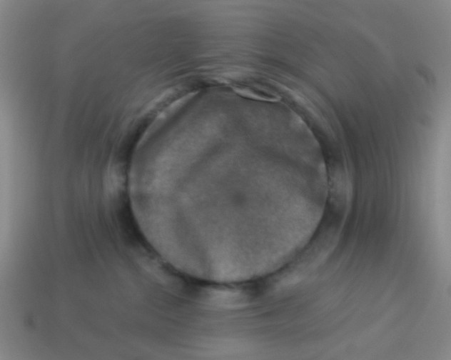 X0000113880284200910221402