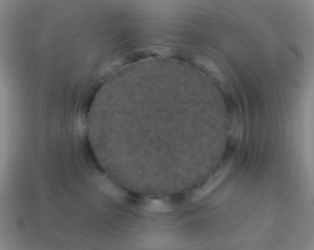 X0000113880285200910221402