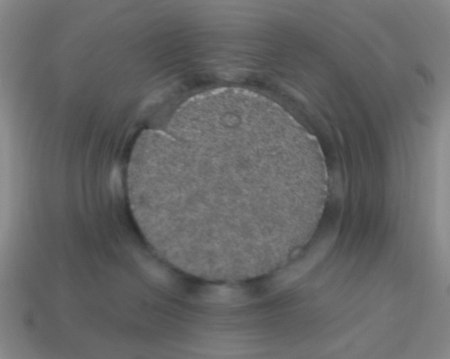 X0000113880286200910221402