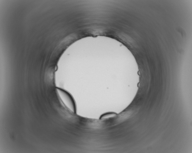 X0000113880288200910221402