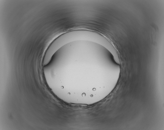 X0000113880289200910221402