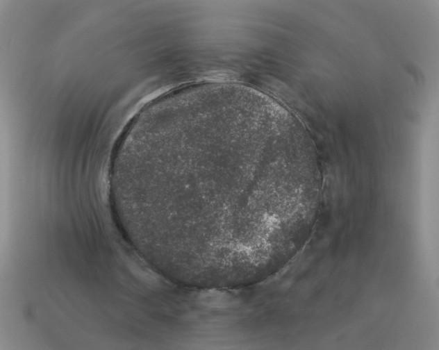 X0000113880290200910221402
