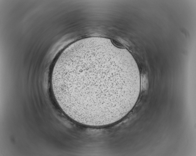 X0000113880291200910221402
