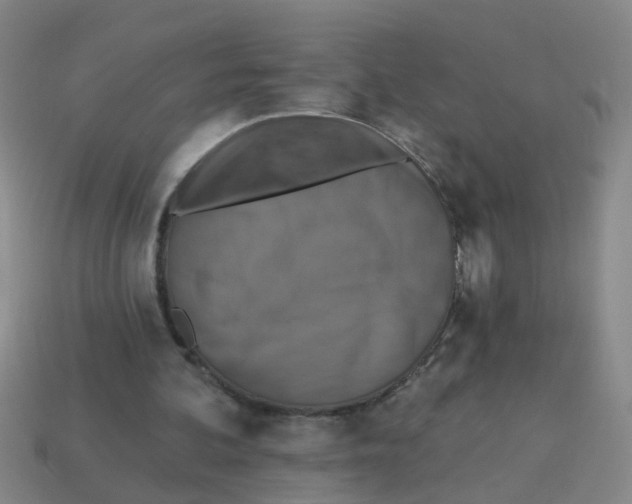 X0000113880292200910221402
