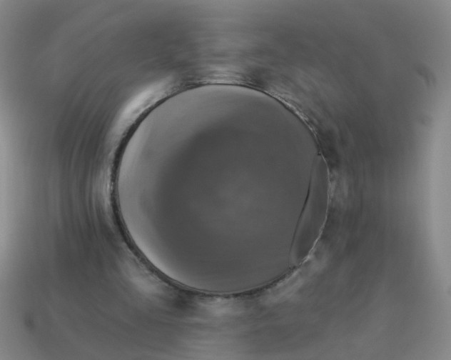 X0000113880293200910221402