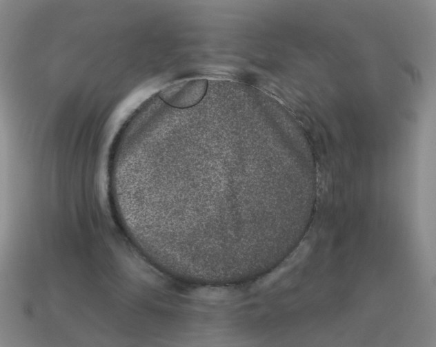 X0000113880294200910221402