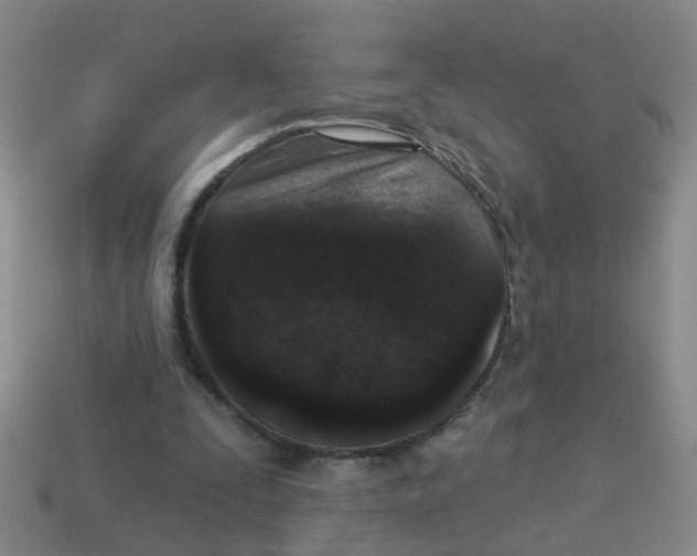 X0000113880295200910221402
