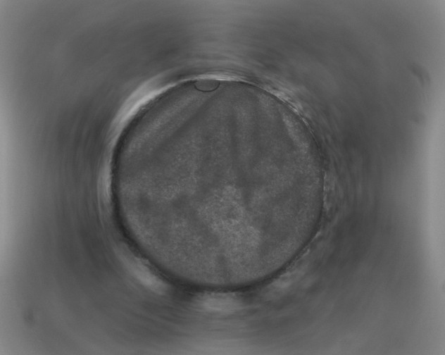 X0000113880296200910221402
