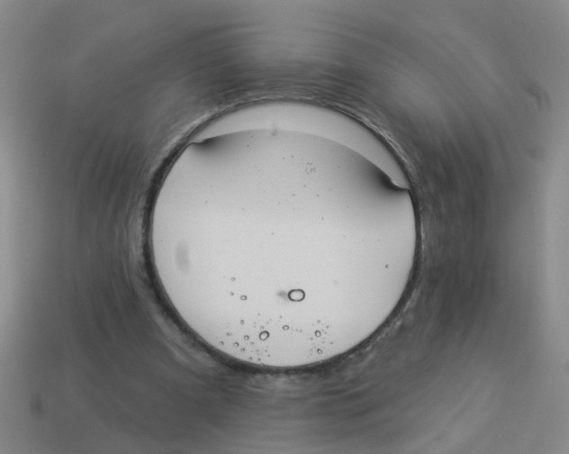 X0000113880297200910221402