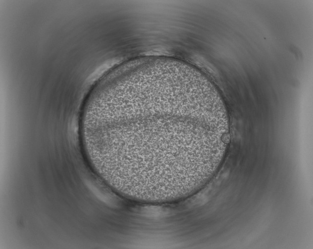 X0000113880298200910221402