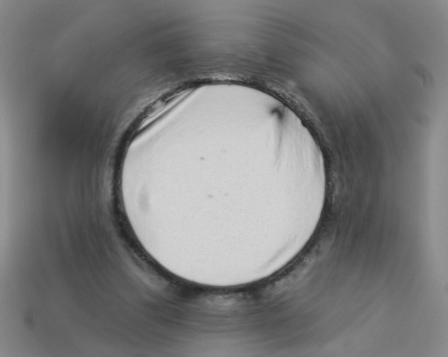 X0000113880299200910221402