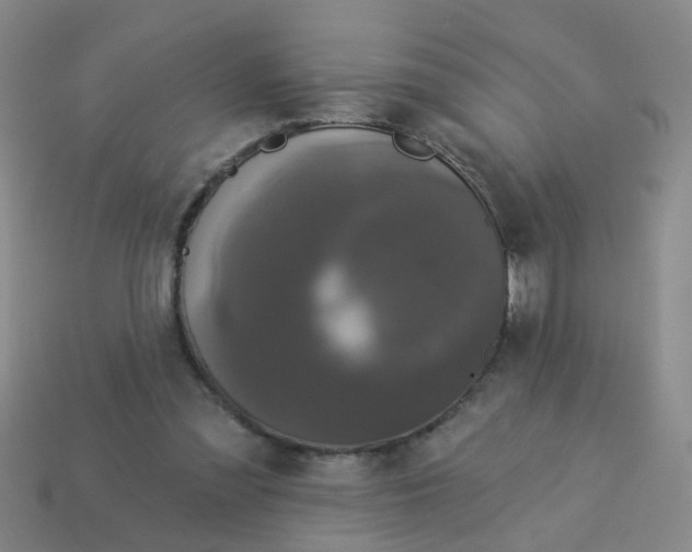 X0000113880301200910221402