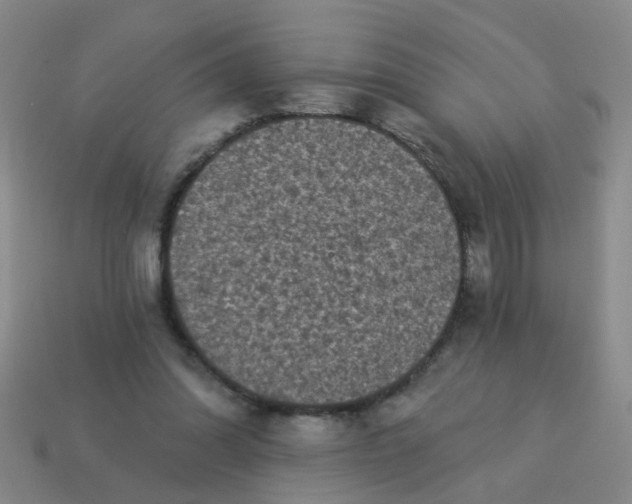 X0000113880302200910221402
