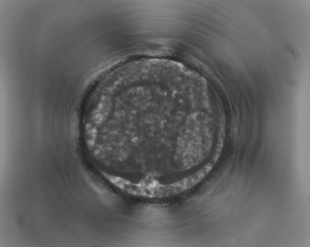 X0000113880303200910221402