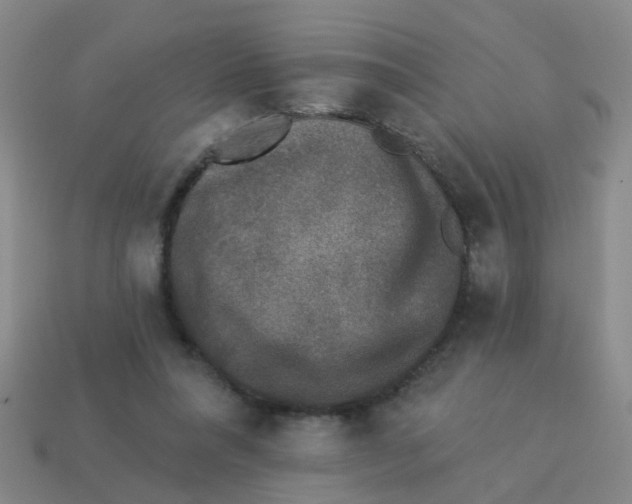 X0000113880304200910221402
